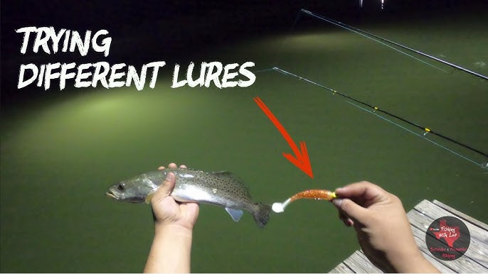Down South Lures vs AM Fishing Lures