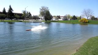 Fighter Cat Fantasm 69mph