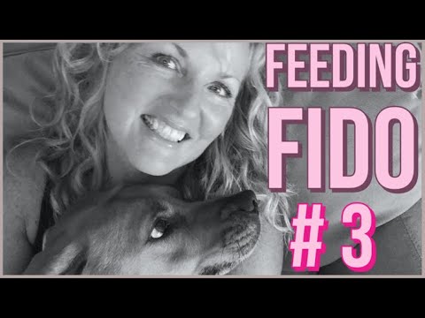 Video: Nutrire Fido