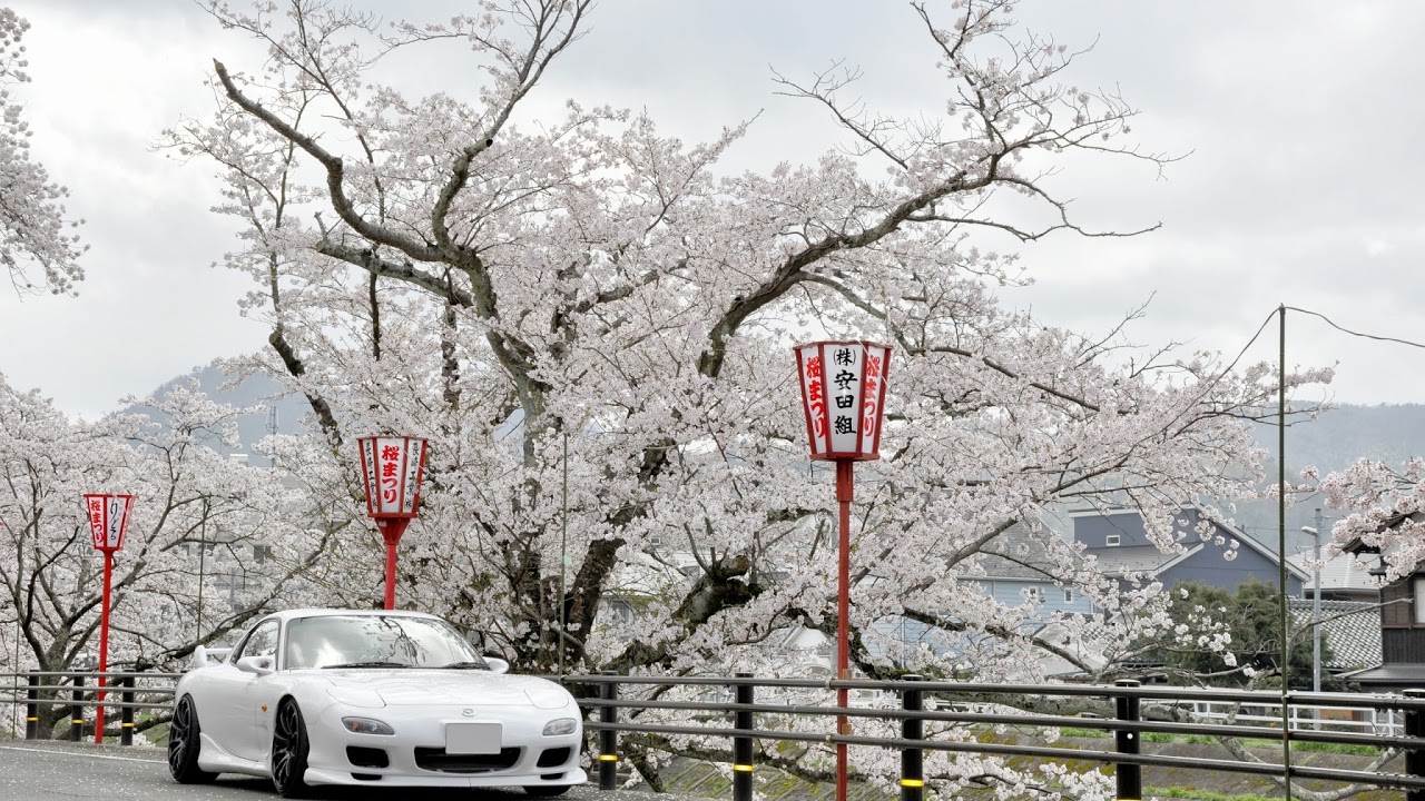 UnMomentum Live Stream