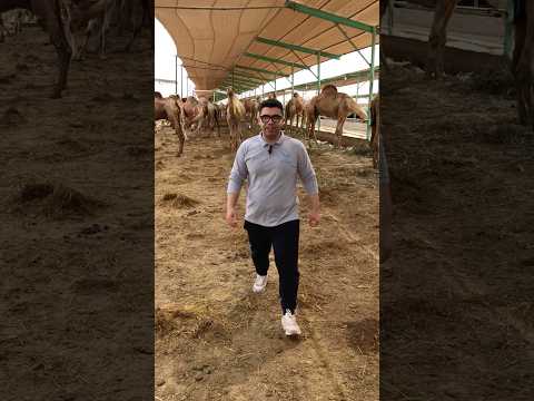 جمال في مزرعه القيصر