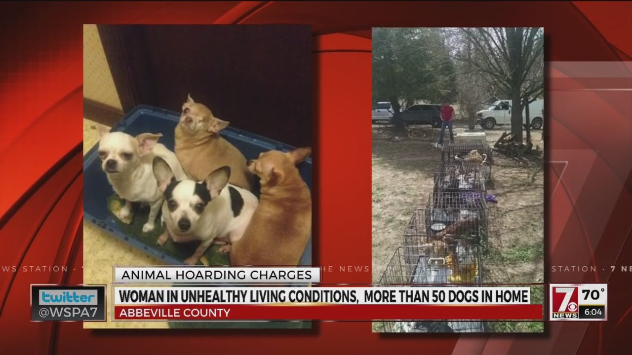 Dogs rescued from Abbeville Co. Home YouTube