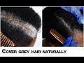 How To Cover New White Or Grey Hair Growth Into Black Naturally With No Chemicals Natural Hair