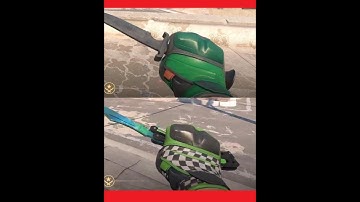 CS2手套挑选指南：摩托手套终点线PK玳瑁，CS2皮肤推荐！#cs2 #CS2手套 #csgo #CS2皮肤