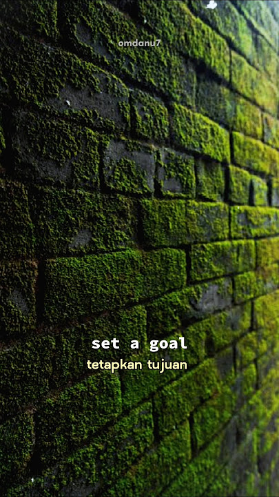 set a goal #motivation #quotes #omdanu7 #katakatabijak #storywa #reminder #sad #sadstory