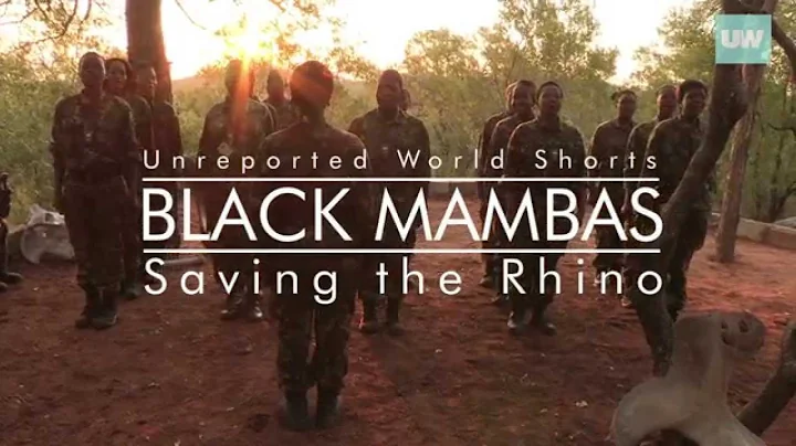 Black Mambas: Saving The Rhino | Unreported World Shorts | Channel 4
