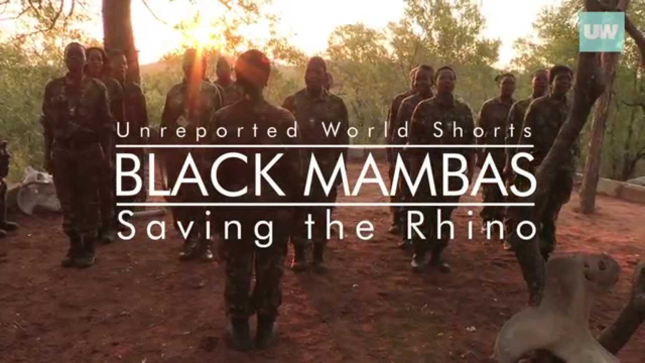 Black Mambas: Saving The Rhino | Unreported World Shorts | Channel 4