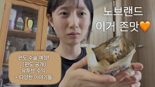 노브랜드 10주년 세일 쇼핑하울 & 유투브 수익공개, 악플, 그리고 수술 받아요 저..
