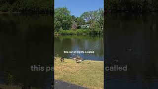 Hiking trails few hours from Chicago 😊 #kaufmanlake #hiking #trends #explore #adventure #exercise Profile