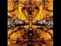 Video Closed eye visuals Meshuggah