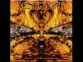 Meshuggah - 