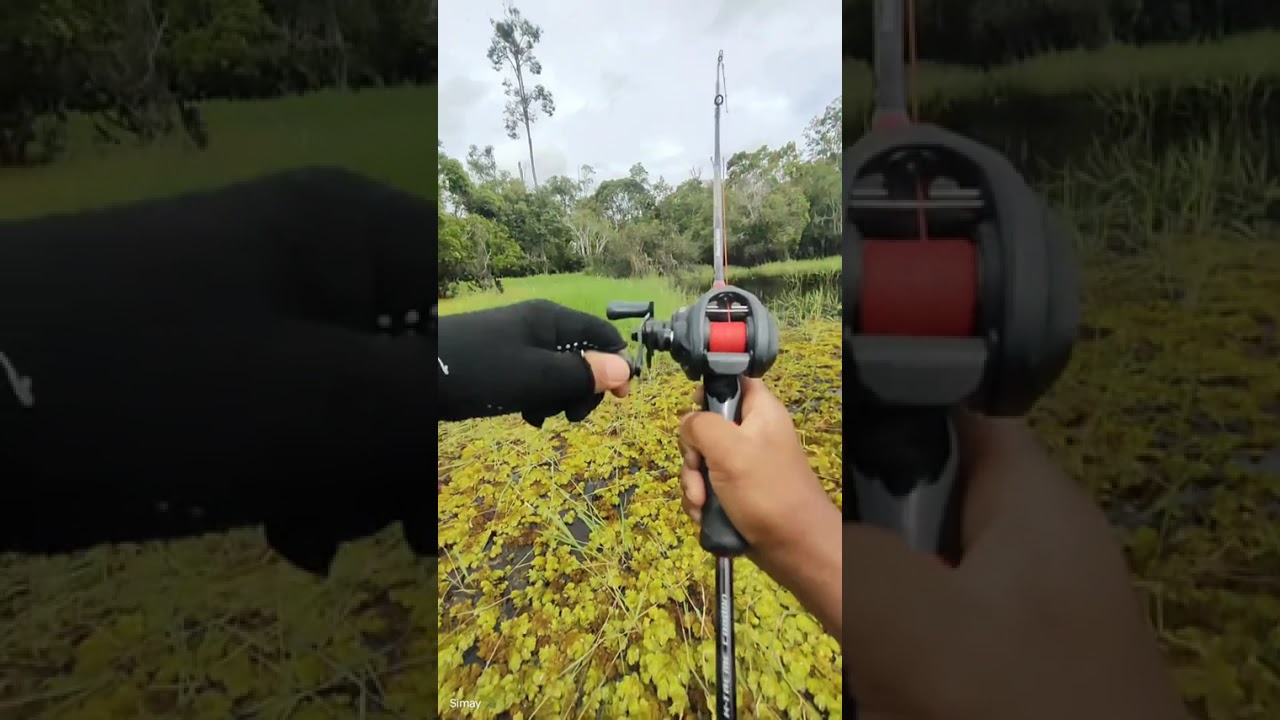 Casting di rawa Kalteng..