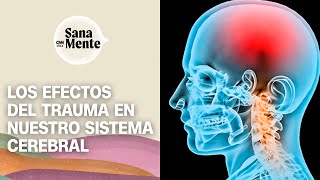 Traumas: ¿Qué efectos tienen en el cerebro? | Sana Mente