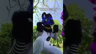 #furries #furry #fursuit #cute #antizoo #furrysupport #fursona #fursuiter #furryfriend #fursuiting