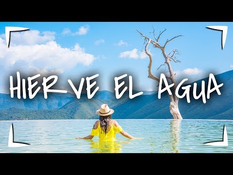 HIERVE el AGUA ► ÁRBOL del TULE 🔴 6 destinos 1 ruta 🚗 MEZCAL, GRECAS y hasta CALDO DE PIEDRA