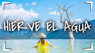 HIERVE el AGUA ► ÁRBOL del TULE  6 destinos 1 ruta  MEZCAL, GRECAS y hasta CALDO DE PIEDRA