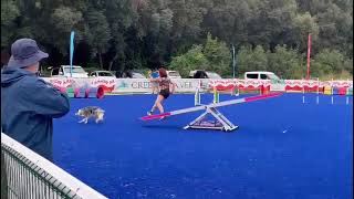 Asha Copa Catalunya FCAG L' Almozara Can Bosc 2.023 3-06-23 Agility Equipos