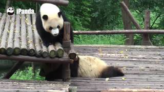 A soft and fluffy panda cushion screenshot 4