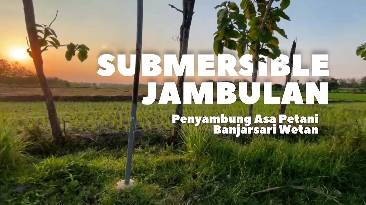 Submersible Jambulan Penyambung Asa Petani Banjarsari Wetan