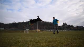 First frisbee mini-training in 2019