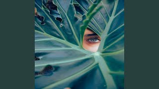 Alluring Music for Classic Relaxations