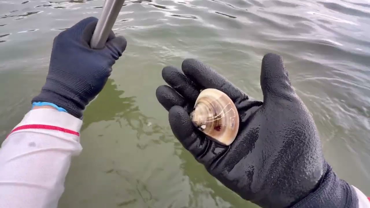 2025.9.20 立秋🍂潮干狩り調査🐚　