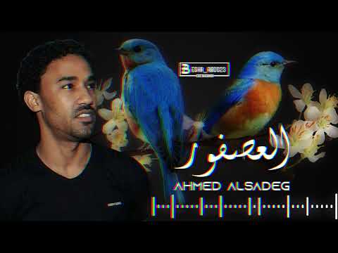 احمد الصادق العصفور 2014