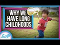 Understanding Human Childhood and Brain Development