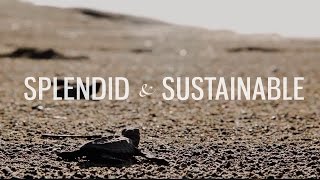 Splendid & Sustainable | Lapa Rios Ecolodge