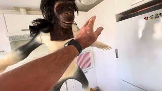 Chimp after head transplant onto 3D printed Body