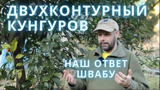 Алексей Кунгуров интервью | Наш ответ Швабу