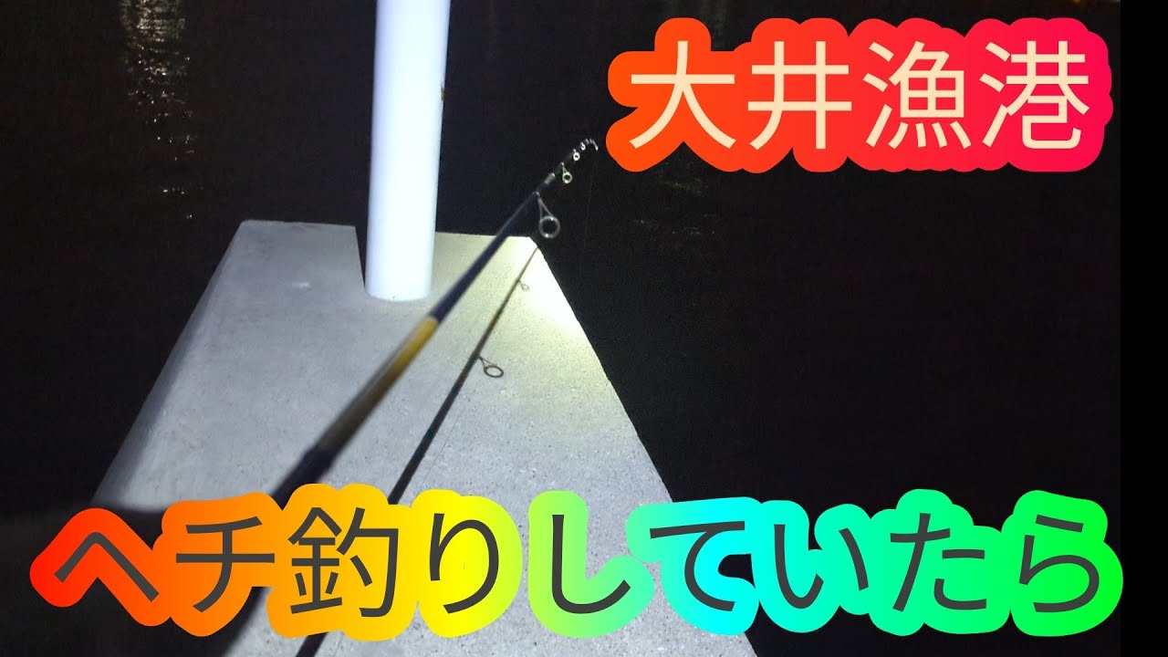 大井漁港でヘチ釣りしたら…愛知県 知多半島 南知多 知多湾 海釣り fishing ロックフィッシュ