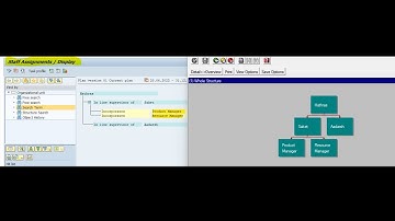 Creating Jobs and Positions in SAP HCM #sap #saphcm #saphr #saphr #payroll #hr #employees