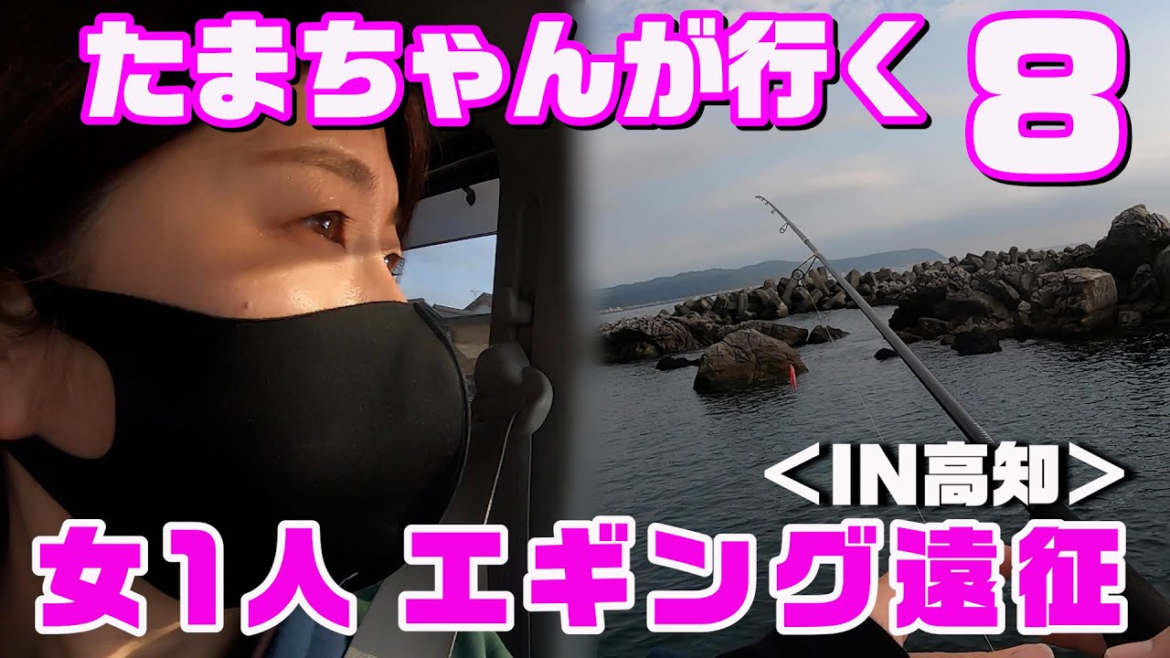 釣り たまちゃんが行く8 高知ぶらっとひとり旅 あのミュージシャンと初コラボ Youtube