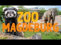 Zoo Magdeburg | Zoo Eindruck 2020