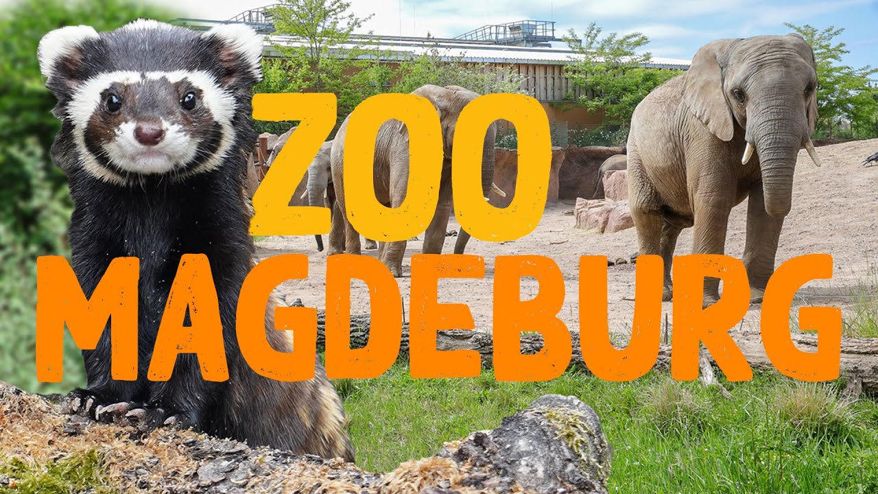 Zoo Mainz: Exotische Tiere im Stadtpark? | Zoo-Eindruck