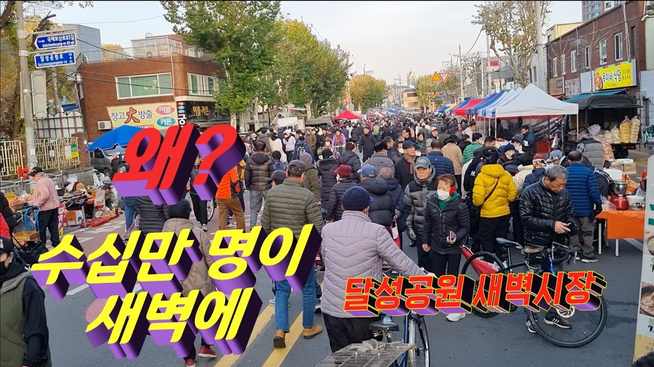수십만명이 모이는 달성공원 새벽시장 탐방 w/vrew