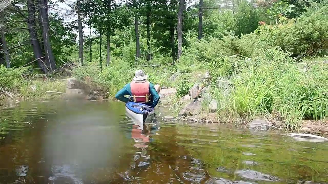 Perfect, gentlemanly get out by Liam Peyton.