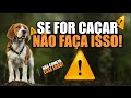 Não Faça Isso Se Você For Caçar - 5 Erros Antes De Sair Pra Caçar