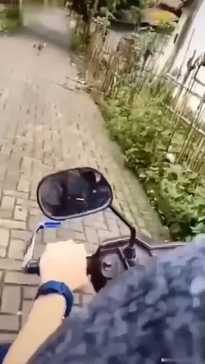 Vidio tiktok kocak,orang jatuh dari motor #shorts #subscribe #lucu #viral #tiktok #feed