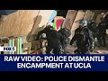 Ucla campus protests police move in and begin dismantling propalestinian  encampment