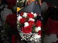 Уникальная чёрная роза Растёт только в Турции