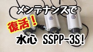 エアーポンプのメンテナンス【水心 SSPP-3S】