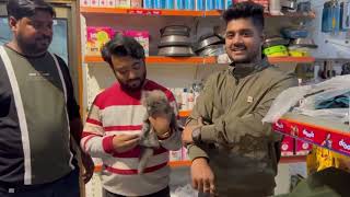 All types of cat breeds are available at Saurabh Pet’s Mart Varanasi | Call today - 9140752208 by Saurabh Dog kennel 264 views 3 months ago 1 minute, 27 seconds