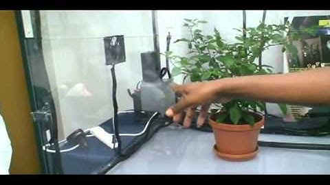 Spring2011_Team11_Wireless Sensor Greenhouse.avi