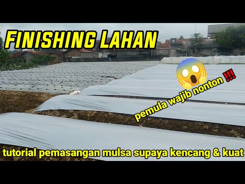 Video: Kerepek Mulsa: Pain Dan Mulsa Berkayu Lain. Bagaimana Untuk Melakukannya Sendiri? Teknologi Penggunaan