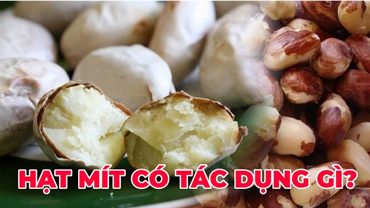 Top 11 ăn hạt mít có tác dụng gì