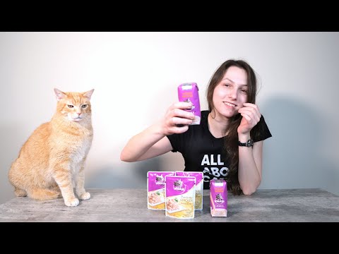 Whiskas Cat Food Review