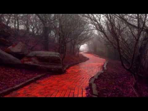 П.Д.Успенский "В поисках чудесного" глава 5 из 18 - YouTube