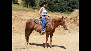 Shady Lady Olena 2020 AQHA Mare by FeedMyHeartWithLove Eph5 209 views 8 months ago 6 minutes, 46 seconds